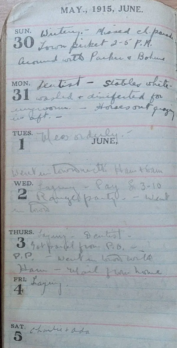 Diary scan, June 1, 1915 (Tuesday)